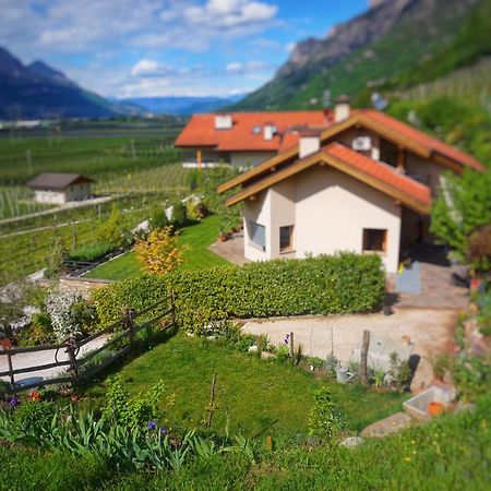 萨洛尔诺Agritur Zuveith公寓 外观 照片