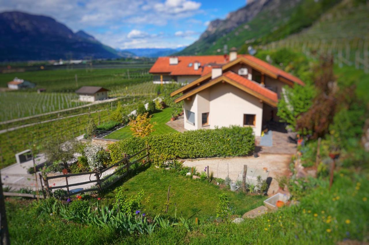 萨洛尔诺Agritur Zuveith公寓 外观 照片